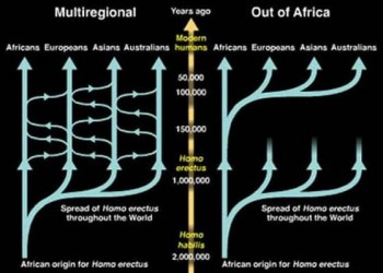 development of the out of africa hypothesis